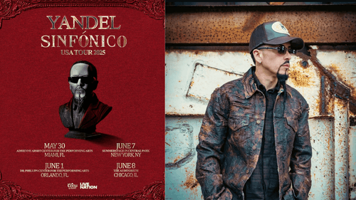Yandel